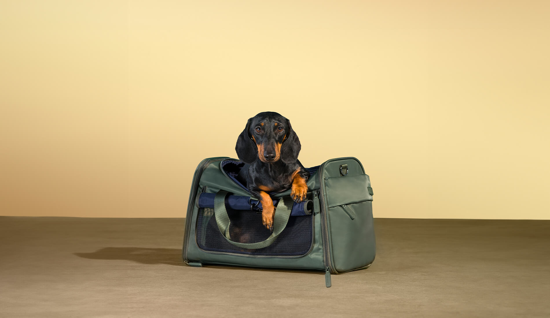 Transportín de mascotas